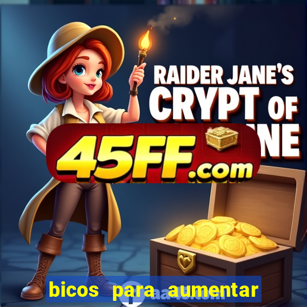 bicos para aumentar a renda